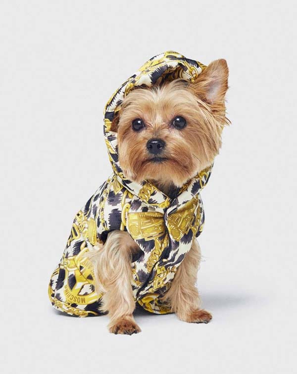 ПОГЛЕД ВЪРХУ СЪТРУДНИЧЕСТВОТО МЕЖДУ МОСКИНО и H&M